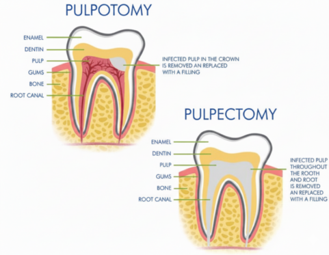 Gemini_Generated_Image_qar5rzqar5rzqar5